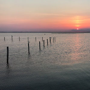 Meet your Posher, Jillian